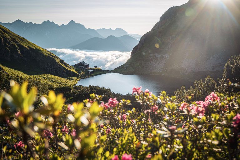 wildseelodersee-am-morgen-L